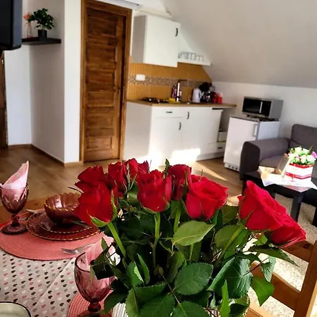Oliver Apartmanhaz 아파트